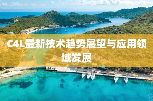 C4L最新技术趋势展望与应用领域发展