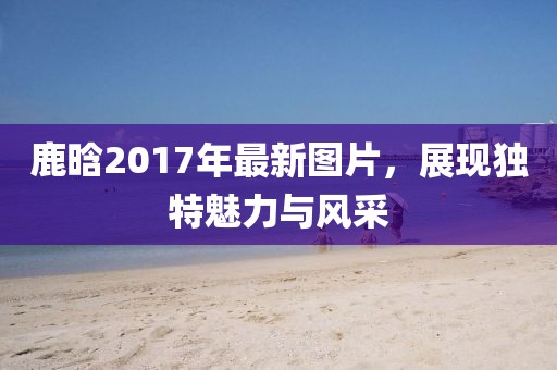 7777788888管家婆 第7页