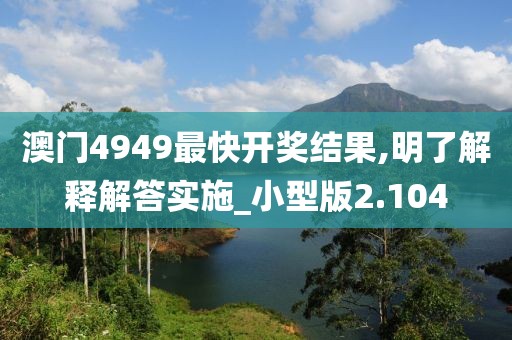 澳门4949最快开奖结果,明了解释解答实施_小型版2.104