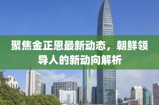 聚焦金正恩最新动态，朝鲜领导人的新动向解析