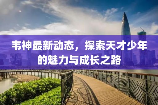 韦神最新动态，探索天才少年的魅力与成长之路