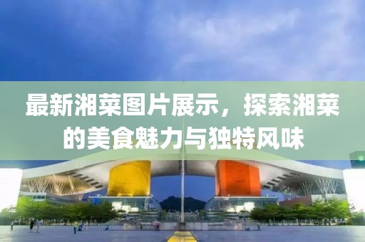 最新湘菜图片展示，探索湘菜的美食魅力与独特风味