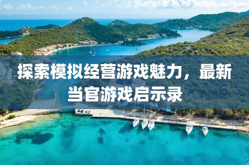 探索模拟经营游戏魅力，最新当官游戏启示录