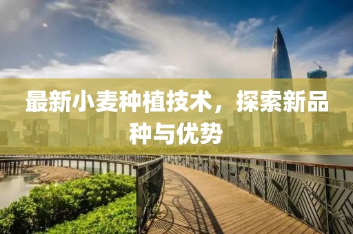 最新小麦种植技术，探索新品种与优势