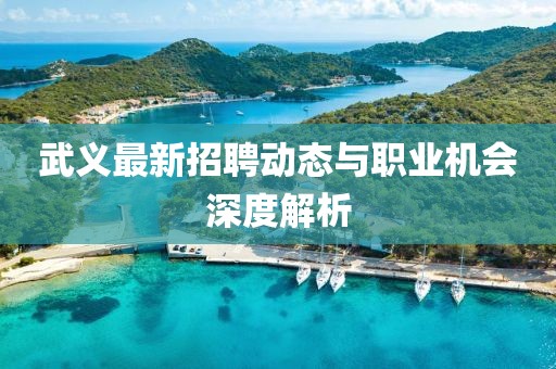 武义最新招聘动态与职业机会深度解析
