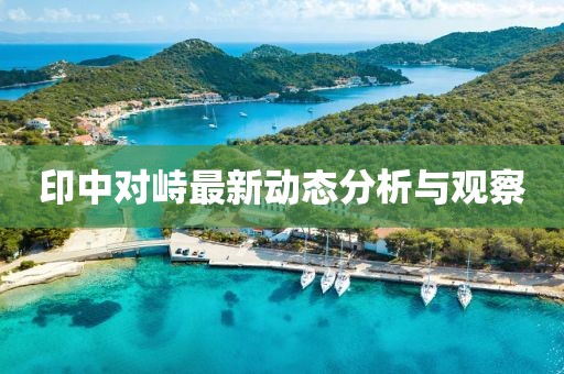 印中对峙最新动态分析与观察