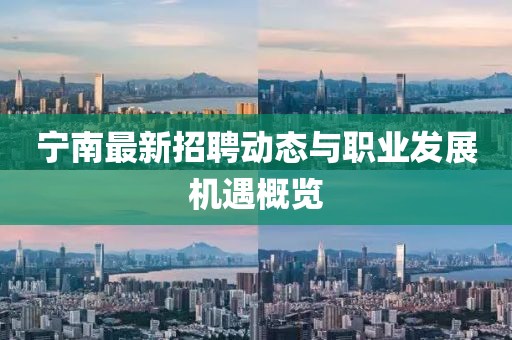 宁南最新招聘动态与职业发展机遇概览