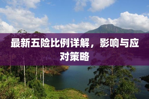 最新五险比例详解，影响与应对策略