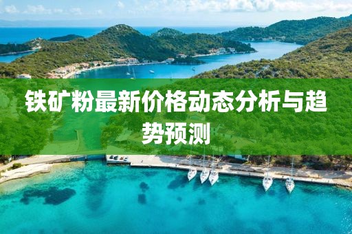铁矿粉最新价格动态分析与趋势预测