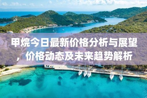 甲烷今日最新价格分析与展望，价格动态及未来趋势解析