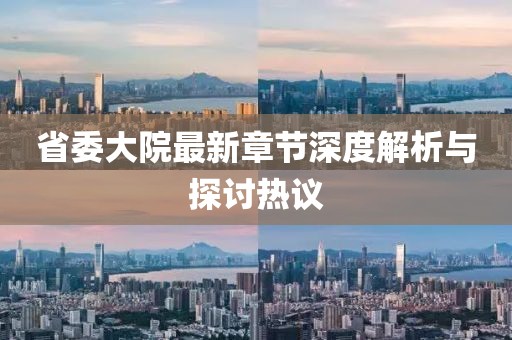 省委大院最新章节深度解析与探讨热议