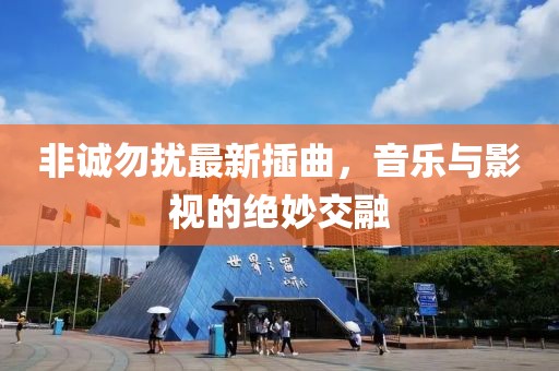 非诚勿扰最新插曲，音乐与影视的绝妙交融