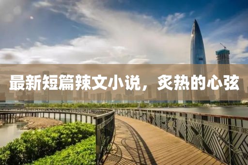 最新短篇辣文小说，炙热的心弦