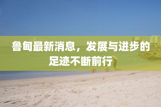 鲁甸最新消息，发展与进步的足迹不断前行