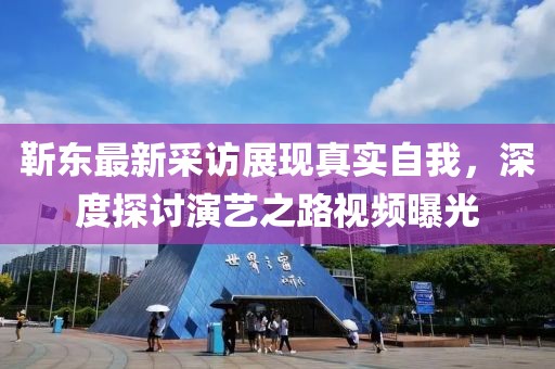 靳东最新采访展现真实自我，深度探讨演艺之路视频曝光