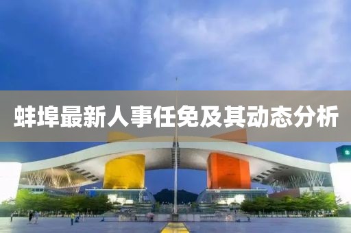 蚌埠最新人事任免及其动态分析