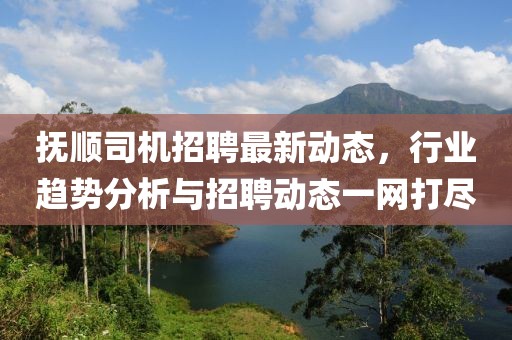抚顺司机招聘最新动态，行业趋势分析与招聘动态一网打尽