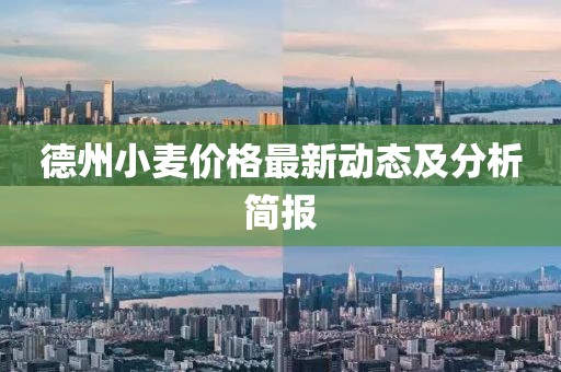 德州小麦价格最新动态及分析简报