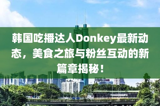 韩国吃播达人Donkey最新动态，美食之旅与粉丝互动的新篇章揭秘！