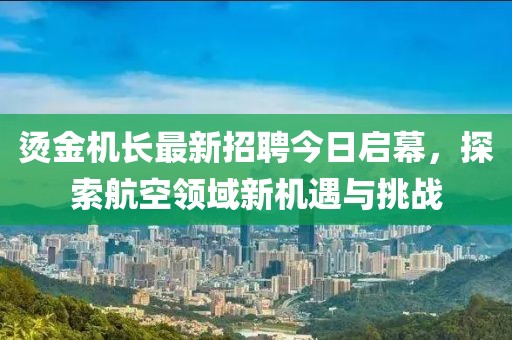 烫金机长最新招聘今日启幕，探索航空领域新机遇与挑战
