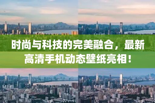 时尚与科技的完美融合，最新高清手机动态壁纸亮相！