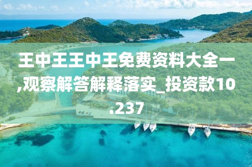王中王王中王免费资料大全一,观察解答解释落实_投资款10.237