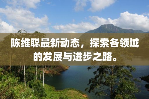 陈维聪最新动态，探索各领域的发展与进步之路。