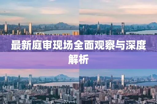 最新庭审现场全面观察与深度解析