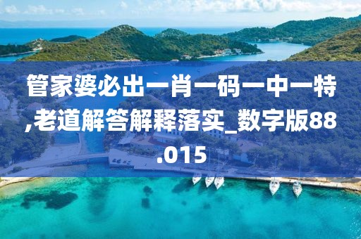 管家婆必出一肖一码一中一特,老道解答解释落实_数字版88.015