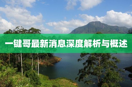 一键哥最新消息深度解析与概述