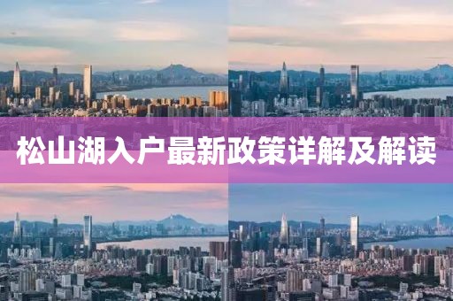 松山湖入户最新政策详解及解读
