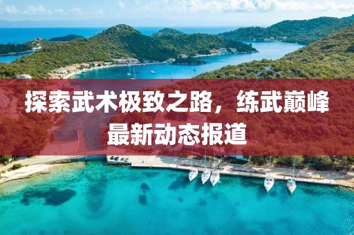 探索武术极致之路，练武巅峰最新动态报道