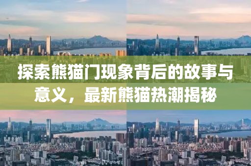 探索熊猫门现象背后的故事与意义，最新熊猫热潮揭秘