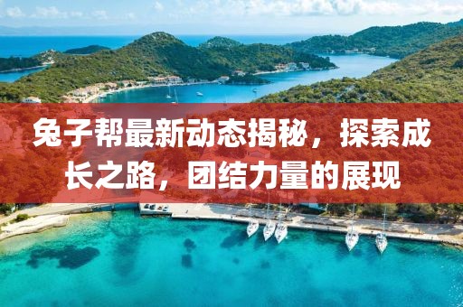 兔子帮最新动态揭秘，探索成长之路，团结力量的展现