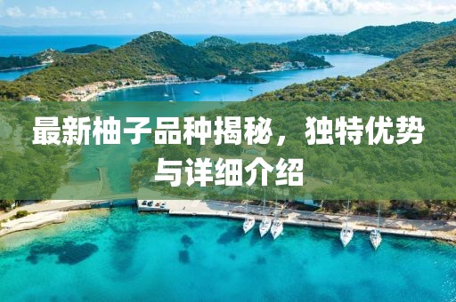 最新柚子品种揭秘，独特优势与详细介绍