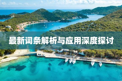 最新词条解析与应用深度探讨
