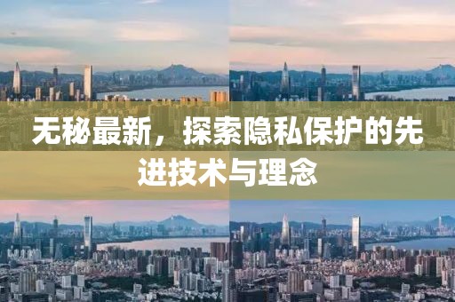 无秘最新，探索隐私保护的先进技术与理念
