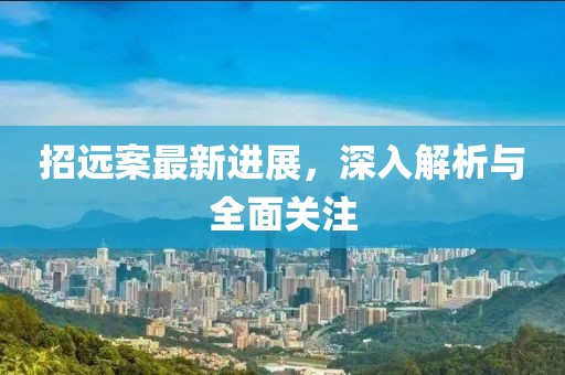 招远案最新进展，深入解析与全面关注