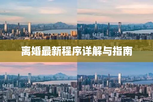 离婚最新程序详解与指南