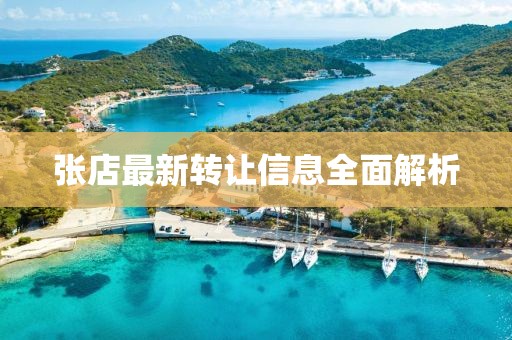 张店最新转让信息全面解析