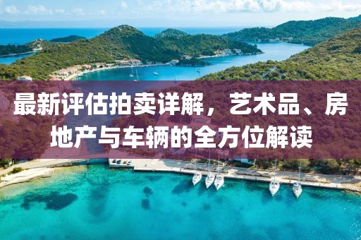 最新评估拍卖详解，艺术品、房地产与车辆的全方位解读