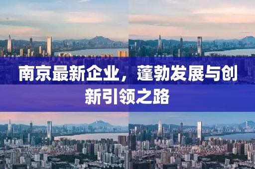 南京最新企业，蓬勃发展与创新引领之路