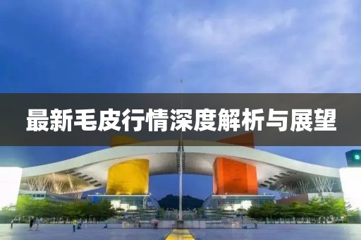 最新毛皮行情深度解析与展望