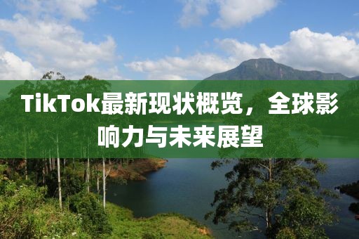 TikTok最新现状概览，全球影响力与未来展望