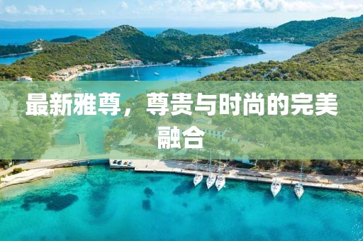 最新雅尊，尊贵与时尚的完美融合