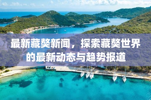 最新藏獒新闻，探索藏獒世界的最新动态与趋势报道