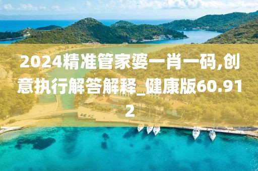 2024精准管家婆一肖一码,创意执行解答解释_健康版60.912