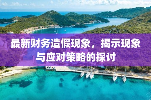 最新财务造假现象，揭示现象与应对策略的探讨