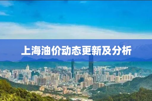 上海油价动态更新及分析