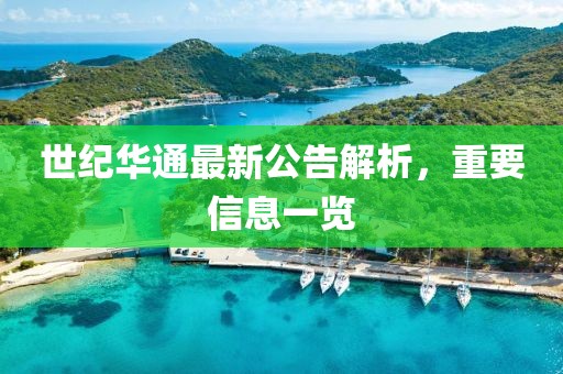 世纪华通最新公告解析，重要信息一览